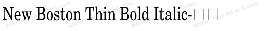New Boston Thin Bold Italic字体转换